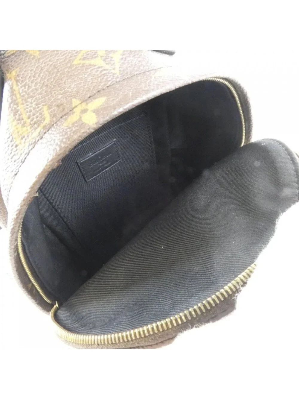 Louis Vuitton Monogram Palm Springs Backpack Mini